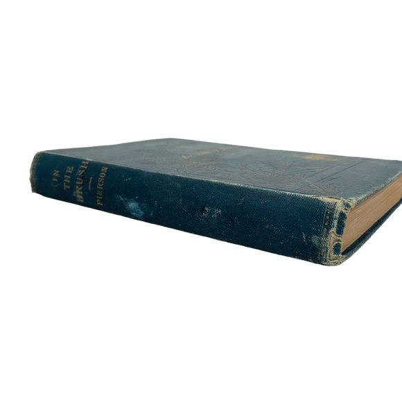 In The Brush Hamilton Pierson 1881 Book 1st Edition Social Political Religious - Picture 3 of 16